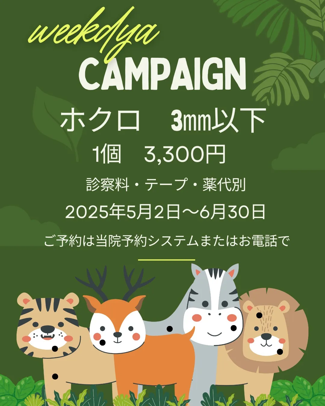 ✨5月と6月限定！平日限定キャンペーンのお知らせ✨小さなホク...