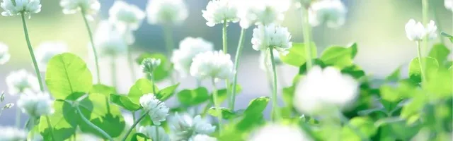 美容点滴・注射