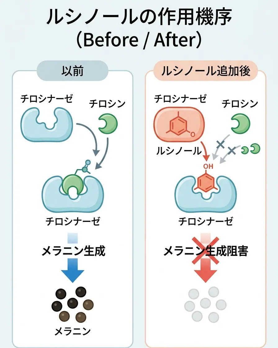 ✨【ダイヴ　ブライトセラム】