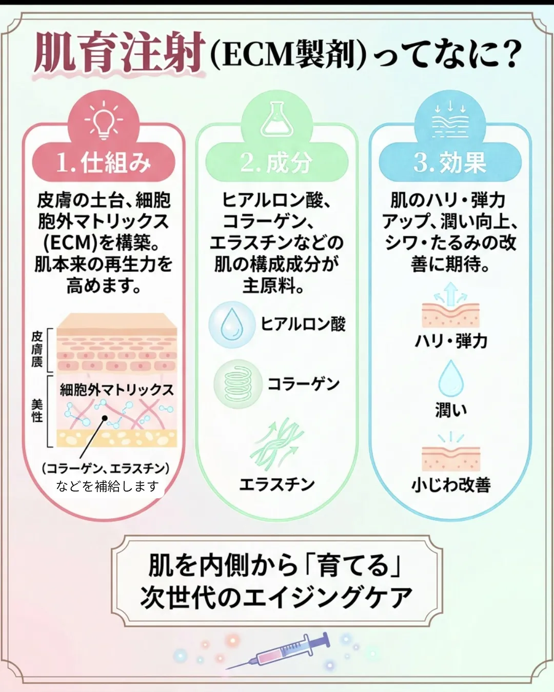 「コラーゲン」「エラスチン」って聞いたことがあるけど・・・・